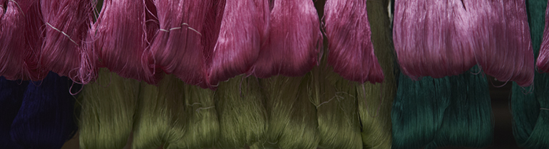 hosoowebheader